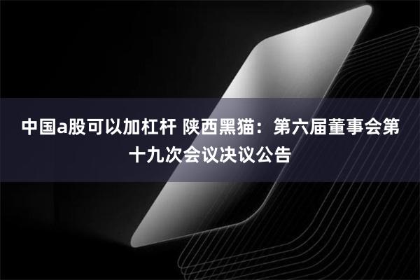 中国a股可以加杠杆 陕西黑猫：第六届董事会第十九次会议决议公告